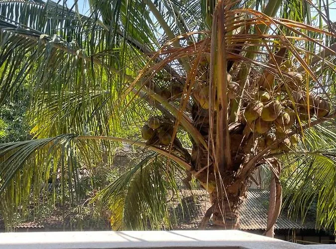 River View Home Stay Service Apartment Madurai